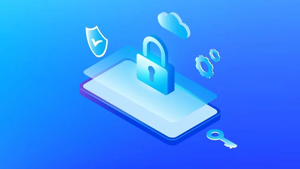 Security and Data Privacy Costs (1)