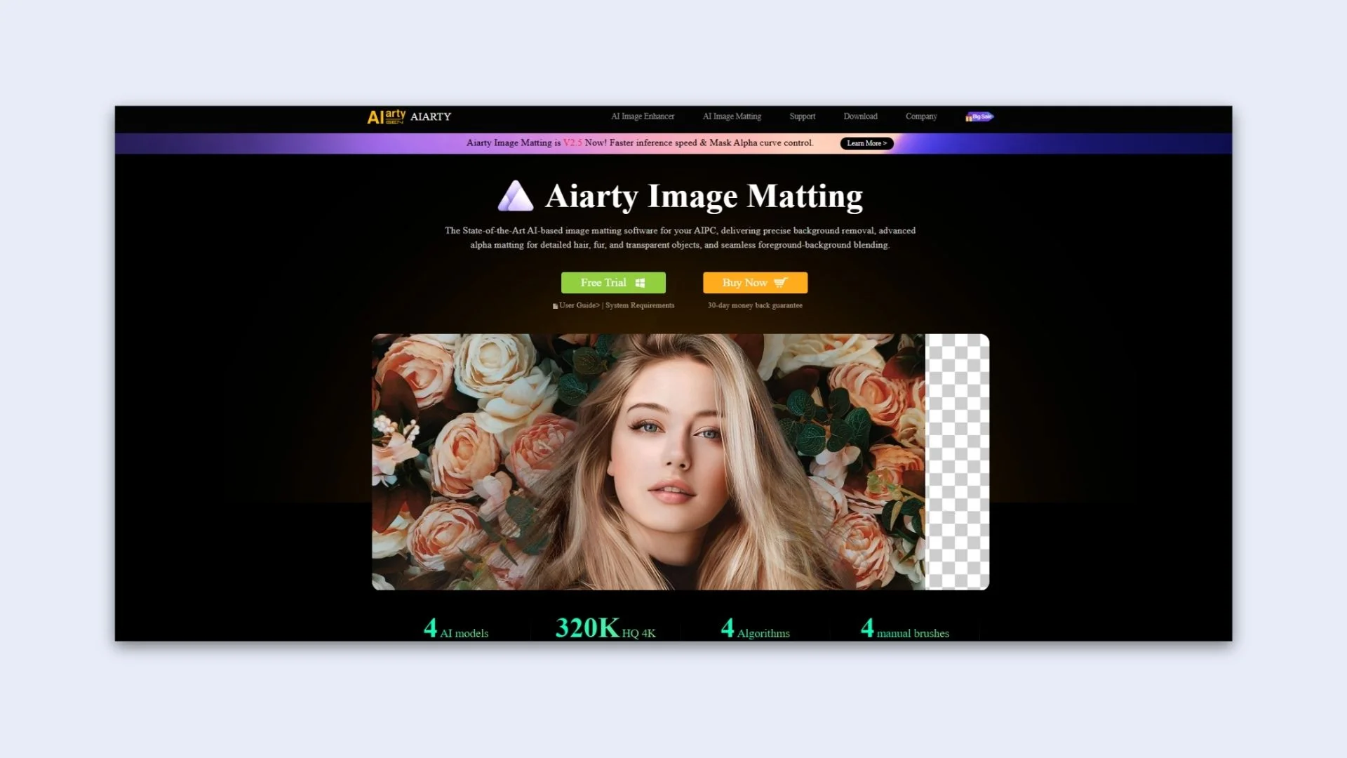 Aiarty Image Matting