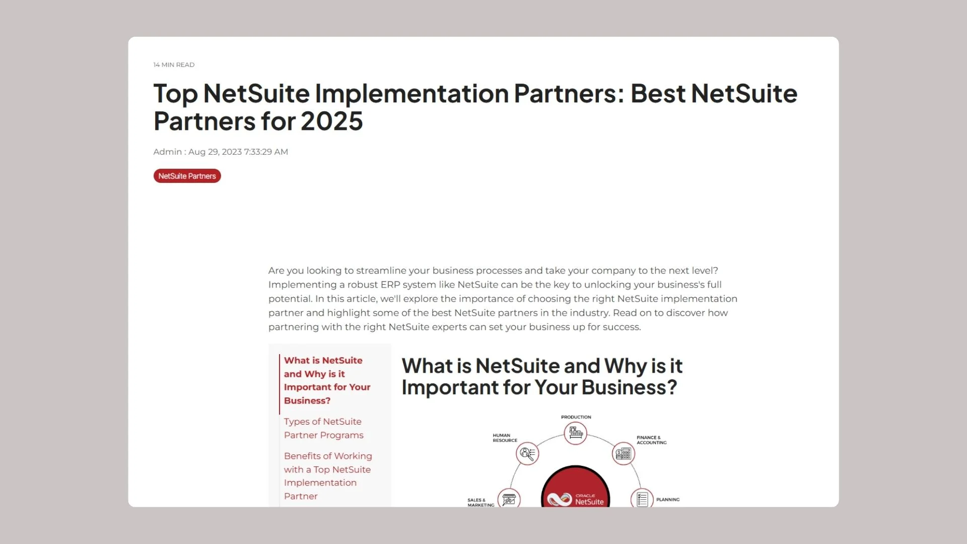 how leading NetSuite partners ensure ERP success