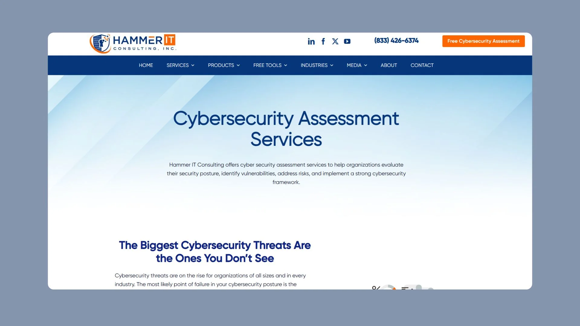 Information Security Assessment Services.png
